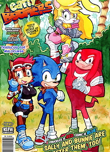  pics Early Boomers, sonic the hedgehog , bunnie rabbot , full color , furry  origin:sonic-the-hedgehog