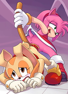  pics my sonic favs - part 2, cream the rabbit , amy rose , group , furry  chaos
